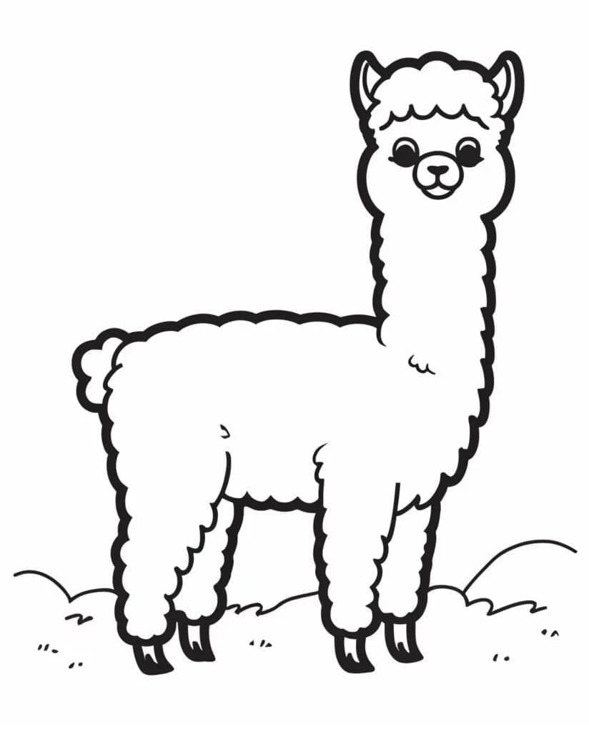 草の上に立つアルパカ のぬりえ