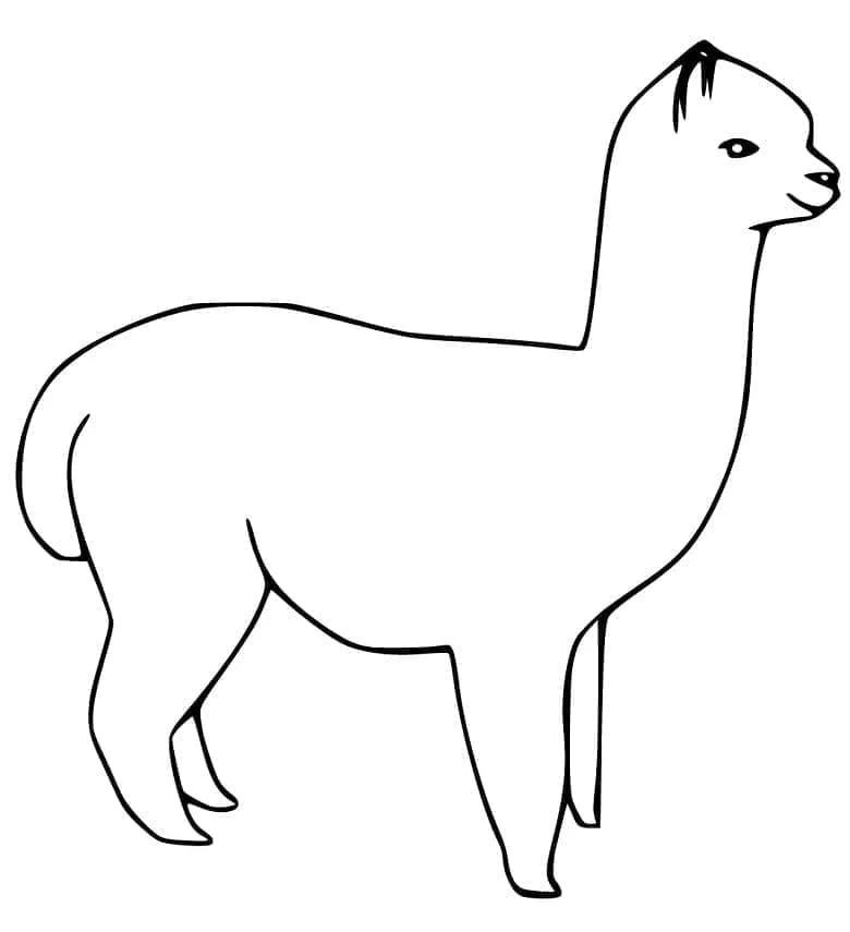 横向きに立つアルパカ のぬりえ