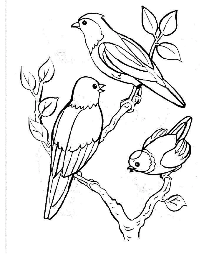 枝にとまる3羽の鳥 のぬりえ