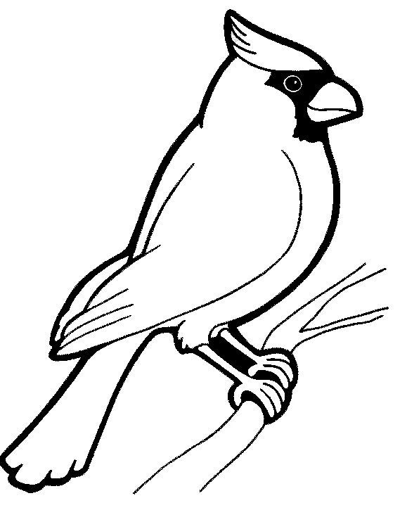 枝にとまるショウジョウコウカンチョウ のぬりえ