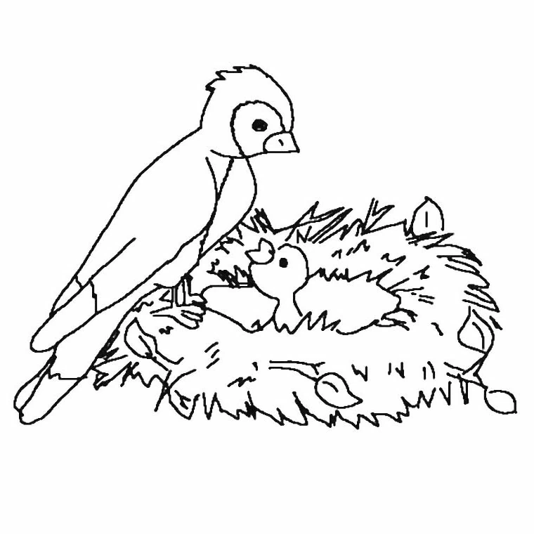 巣のそばにとまる鳥とひな鳥 のぬりえ