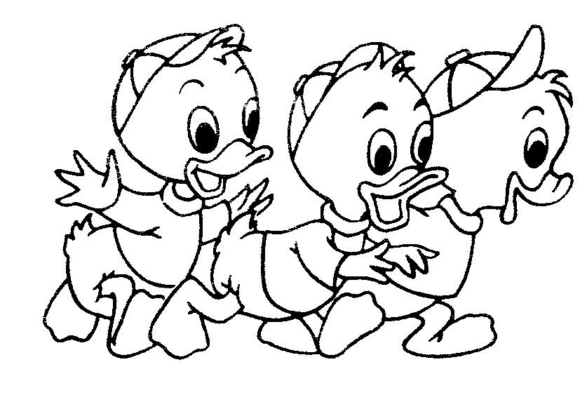 アヒル 一緒に歩く3羽のアヒルの子 のぬりえ