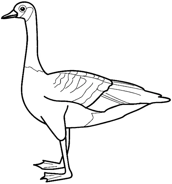 農場に立つガチョウ のぬりえ
