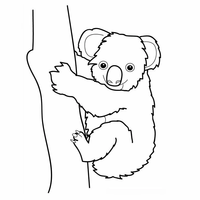 木にしがみつくコアラ のぬりえ