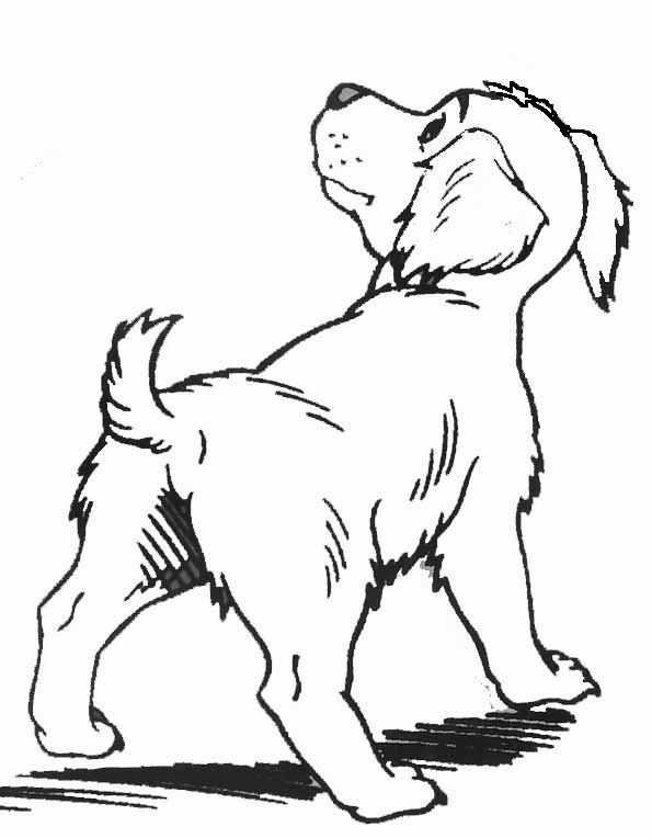 頭を上げて歩く子犬 のぬりえ