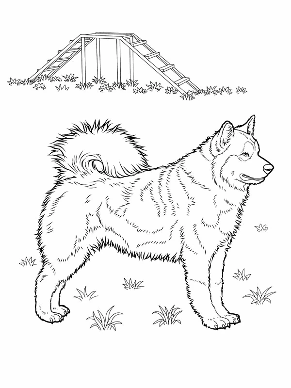 木の橋のそばに立つハスキーの子犬 のぬりえ