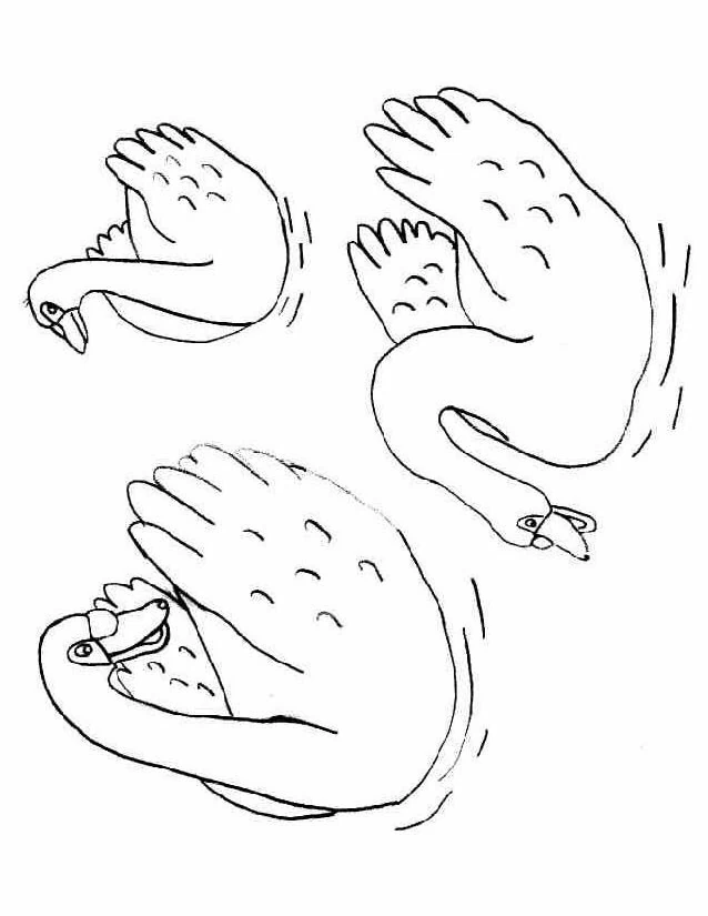 白鳥 水に浮かぶ三羽の白鳥 のぬりえ