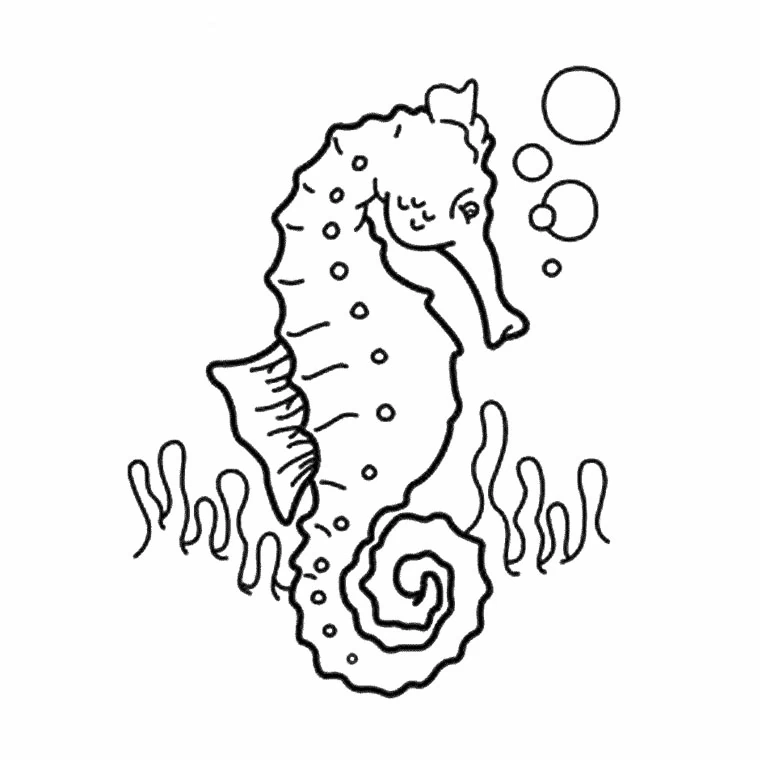 尾を巻いたタツノオトシゴと海藻 のぬりえ