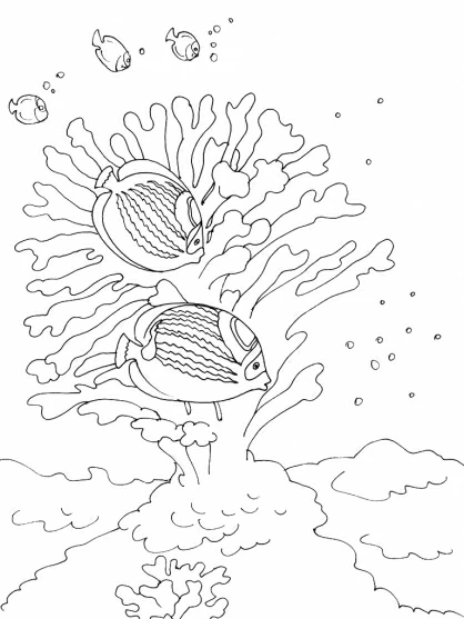 枝サンゴの間を泳ぐ魚たち のぬりえ
