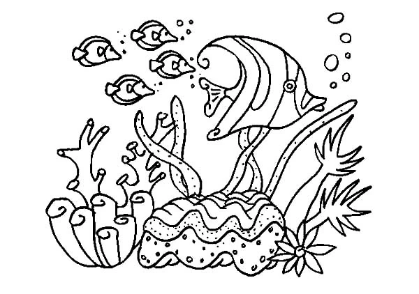 サンゴ礁を泳ぐ魚の群れ のぬりえ