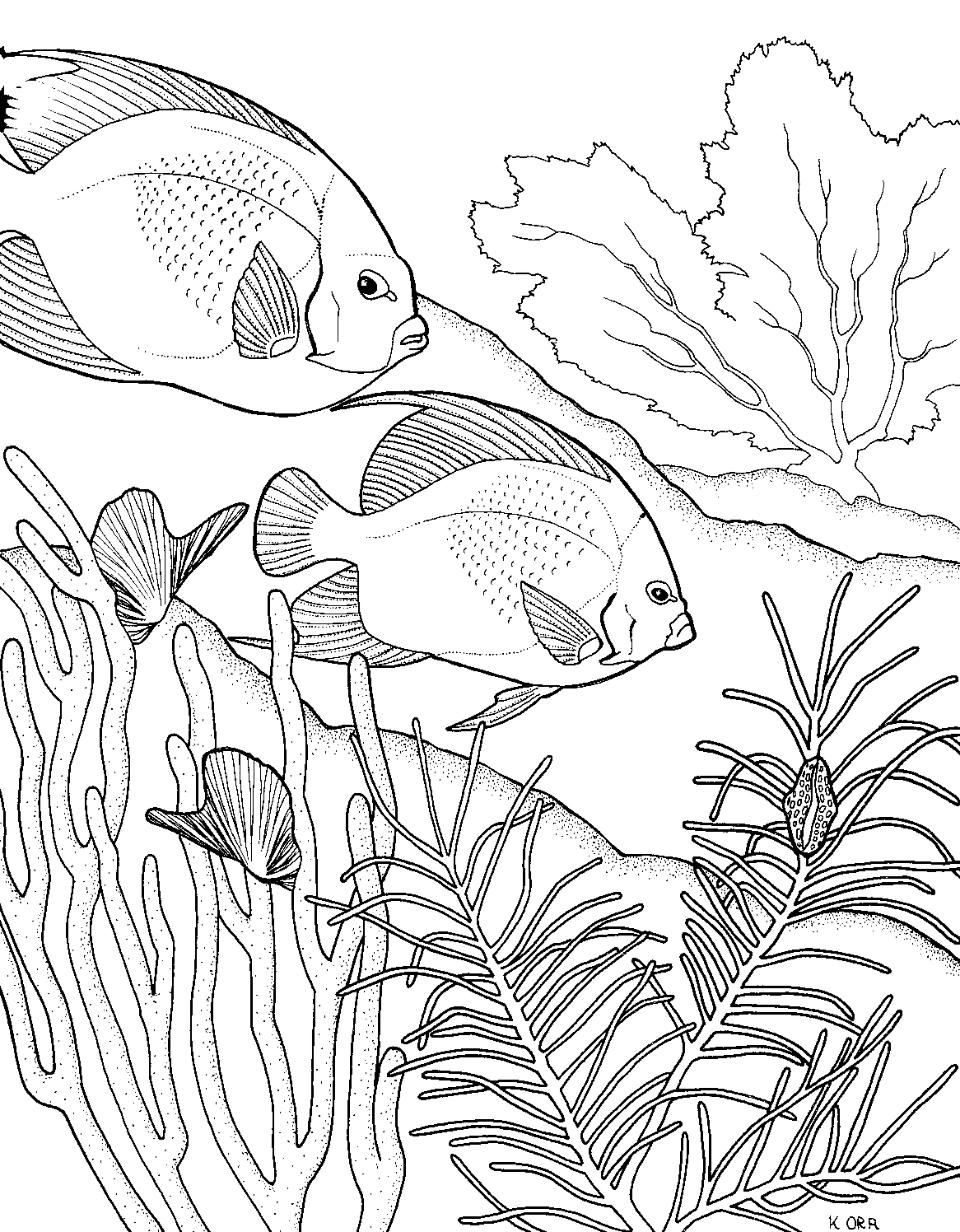 サンゴの上を泳ぐ二匹の魚 のぬりえ