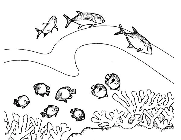 サンゴの上を泳ぐ魚たち のぬりえ