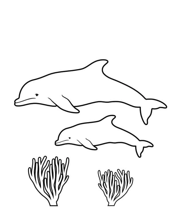 サンゴの上を泳ぐ二頭のイルカ のぬりえ