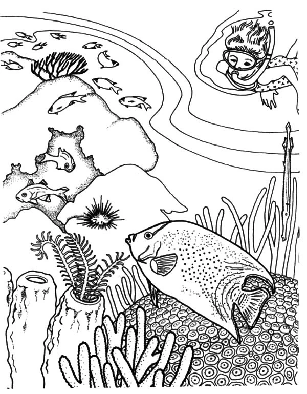 サンゴ礁を泳ぐダイバーと魚たち のぬりえ