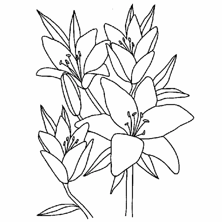 満開の百合の花束 のぬりえ