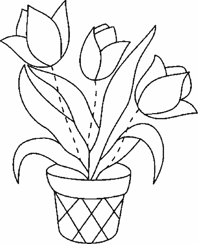 植木鉢に咲くチューリップ のぬりえ