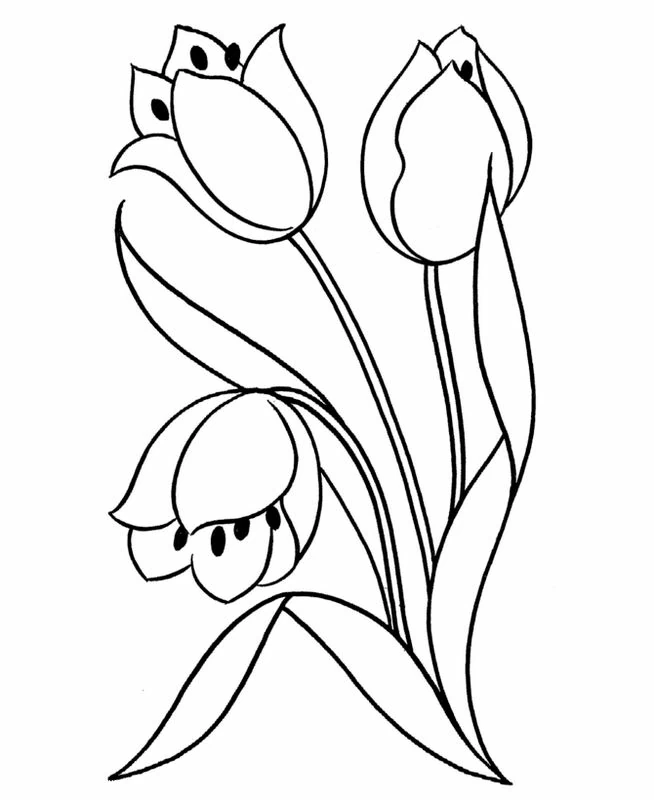 チューリップ3本の茎と葉のある花 のぬりえ