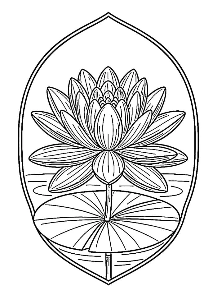 丸い葉に浮かぶ睡蓮の花 のぬりえ