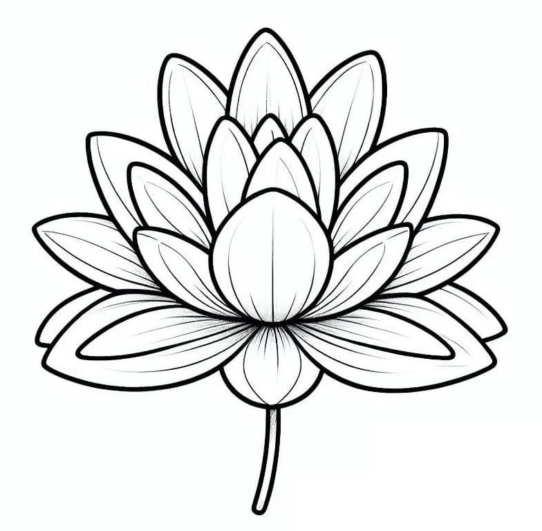 満開の睡蓮 のぬりえ