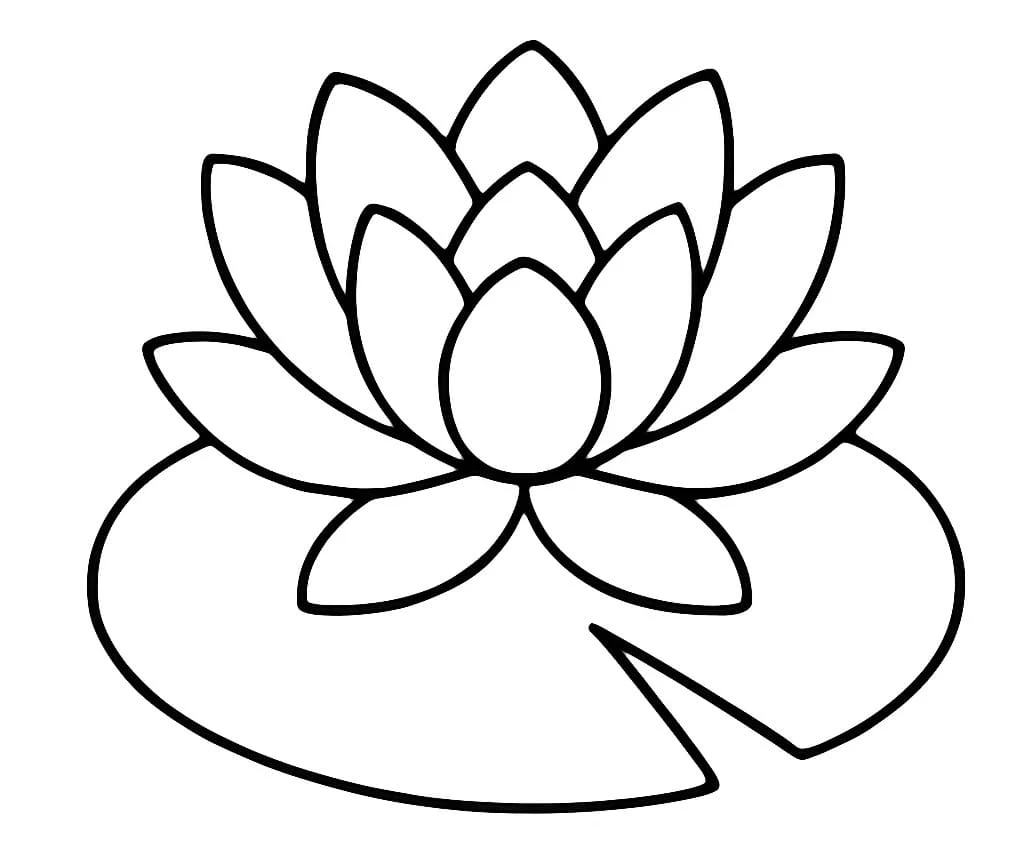 葉に浮かぶ睡蓮 のぬりえ
