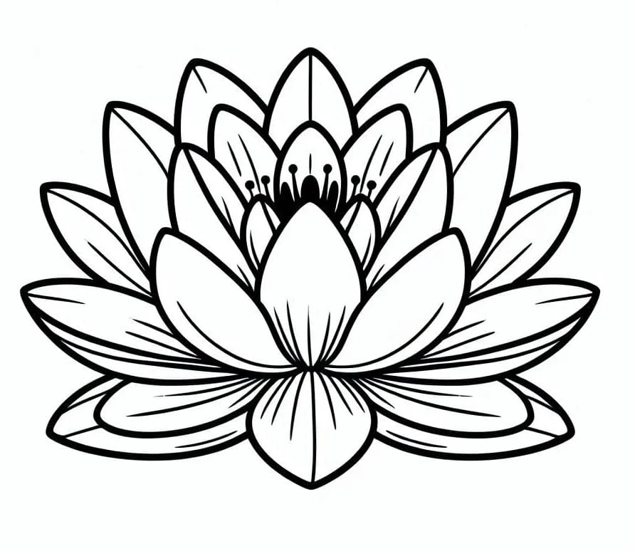 満開の睡蓮 のぬりえ