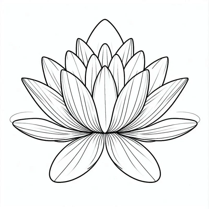 層状の花弁を持つ睡蓮 のぬりえ