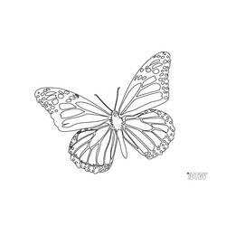 ぬりえページ: 蝶 (動物) #15794 - 無料の印刷可能なぬりえページ