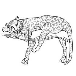 ぬりえページ: チーター (動物) #7873 - 無料の印刷可能なぬりえページ