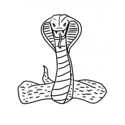ぬりえ: コブラ - 無料の印刷可能なぬりえページ