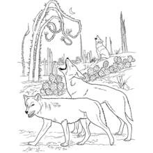 ぬりえページ: コヨーテ (動物) #4550 - 無料の印刷可能なぬりえページ