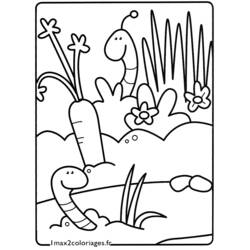 ぬりえページ: ミミズ (動物) #18862 - 無料の印刷可能なぬりえページ