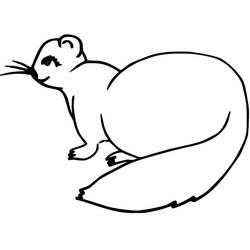 ぬりえページ: フェレット (動物) #205387 - 無料の印刷可能なぬりえページ