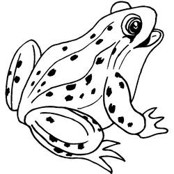 ぬりえページ: カエル (動物) #7570 - 無料の印刷可能なぬりえページ