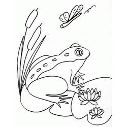 ぬりえページ: カエル (動物) #7606 - 無料の印刷可能なぬりえページ