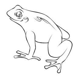 ぬりえページ: カエル (動物) #7665 - 無料の印刷可能なぬりえページ