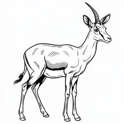 ぬりえページ: ガゼル (動物) #219893 - 無料の印刷可能なぬりえページ