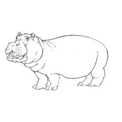 ぬりえページ: カバ (動物) #8614 - 無料の印刷可能なぬりえページ