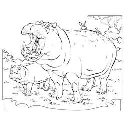 ぬりえページ: カバ (動物) #8690 - 無料の印刷可能なぬりえページ