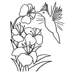 ぬりえページ: ハチドリ (動物) #208586 - 無料の印刷可能なぬりえページ