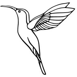 ぬりえページ: ハチドリ (動物) #208623 - 無料の印刷可能なぬりえページ