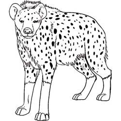 ぬりえページ: ハイエナ (動物) #186929 - 無料の印刷可能なぬりえページ