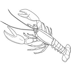 ぬりえページ: ロブスター (動物) #22480 - 無料の印刷可能なぬりえページ