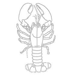 ぬりえページ: ロブスター (動物) #22488 - 無料の印刷可能なぬりえページ