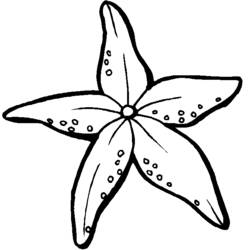 ぬりえページ: 海洋動物 (動物) #22009 - 無料の印刷可能なぬりえページ