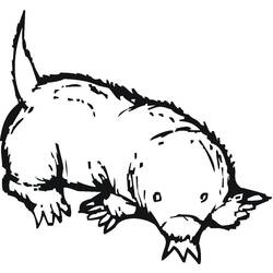 ぬりえページ: モグラ (動物) #210771 - 無料の印刷可能なぬりえページ