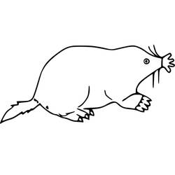 ぬりえページ: モグラ (動物) #210781 - 無料の印刷可能なぬりえページ