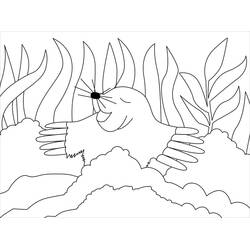 ぬりえページ: モグラ (動物) #210783 - 無料の印刷可能なぬりえページ