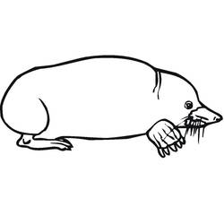ぬりえページ: モグラ (動物) #210785 - 無料の印刷可能なぬりえページ