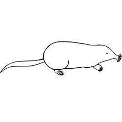 ぬりえページ: モグラ (動物) #210789 - 無料の印刷可能なぬりえページ