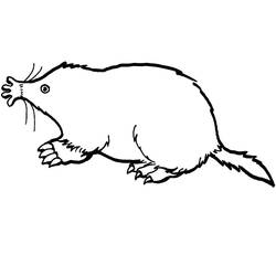 ぬりえページ: モグラ (動物) #210792 - 無料の印刷可能なぬりえページ